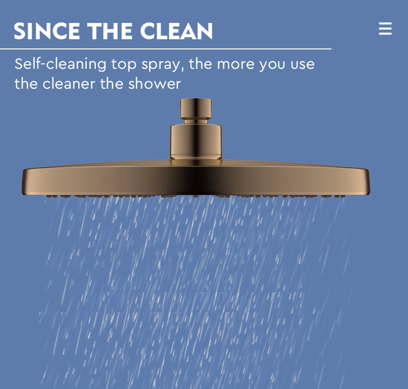 Simplified Design Brushed Bronze Color Bathroom Shower Head Manual Flow Control